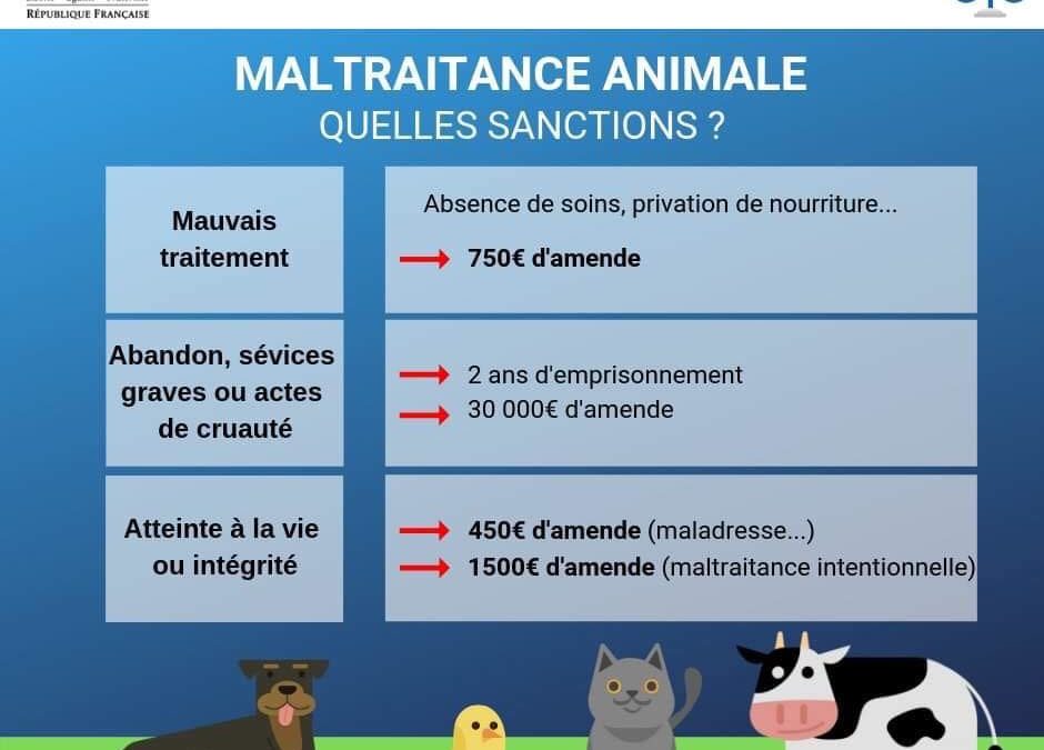 Loi Maltraitance Jugeote