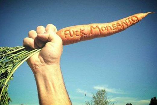 De la graine à l’assiette, Monsanto c’est niet  !