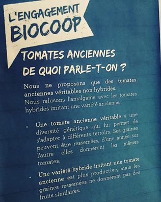 engagement-biocoop-chartronsplace-to-be-tomates-anciennes