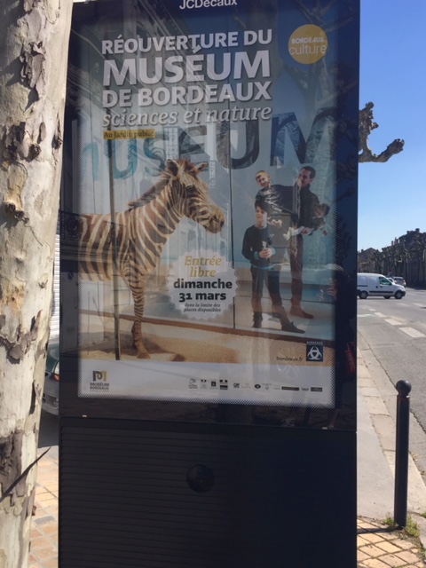 Réouverture du Musée d'histoire naturelle de Bordeaux pour une sortie en famille