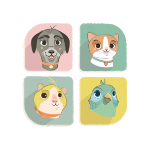 Un chien, un chat, un hamster et une perruche