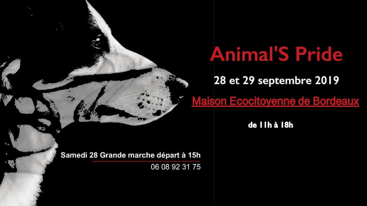 L’Animal’S Pride 2019, une marche et un village des associations au profit de la cause animale
