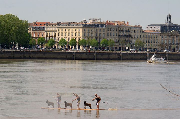 Paddle sur la Garonne