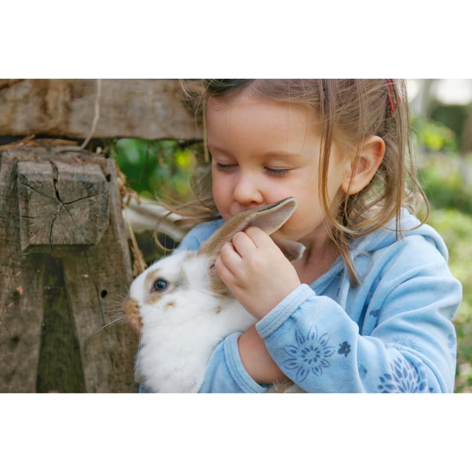Sensibilisation à la condition animale auprès des enfants