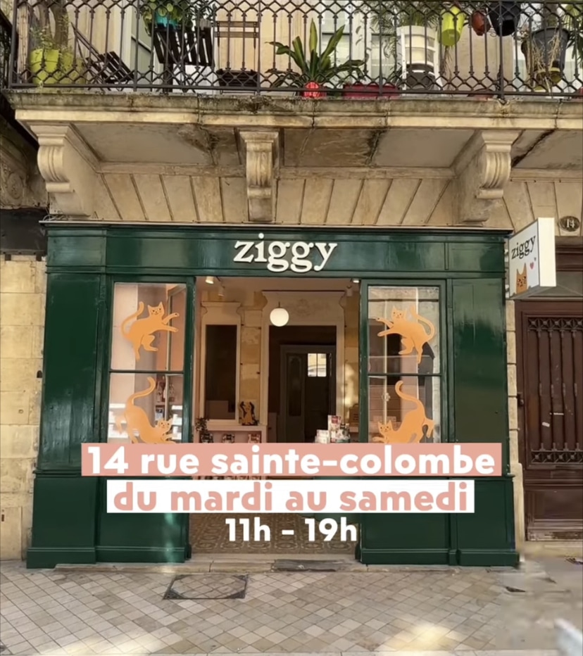La marque Ziggy a désormais une boutique 