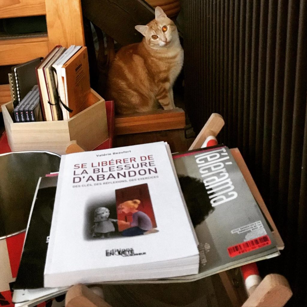 Se Libérer De La Blessure D abandon Valérie Beaufort Se libérer de la blessure d'abandon, un livre pour s'affranchir et naître à  une nouvelle vie autonome et épanouie | Jugeote