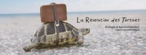 blog d'Anaelle Sorignet