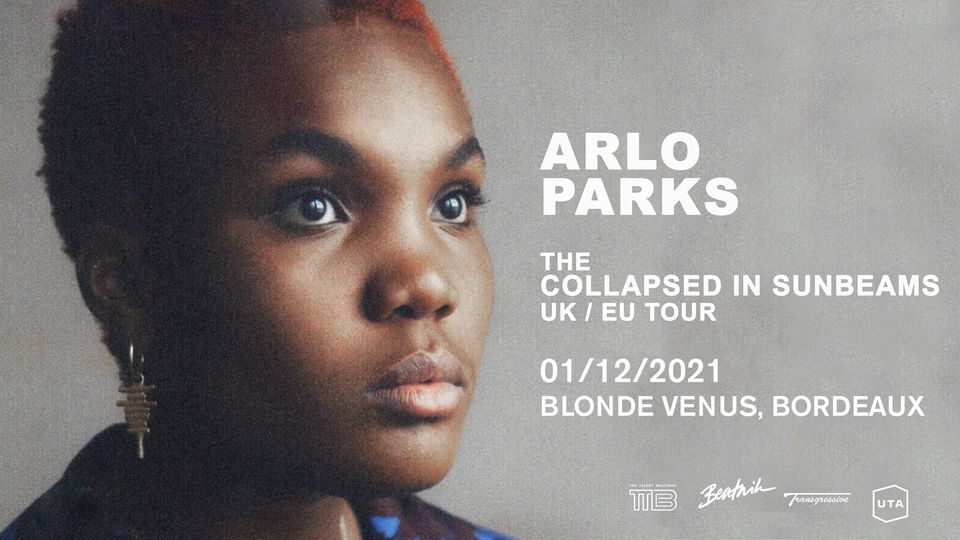 Affiche Arlo Parks Concert Blonde Venus