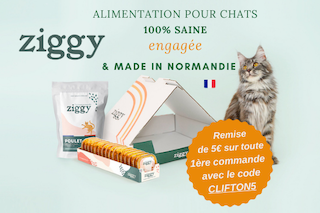 Petfood Croquettes Et Ou Patee Comment Bien Nourrir Son Animal Sans L Empoisonner Jugeote