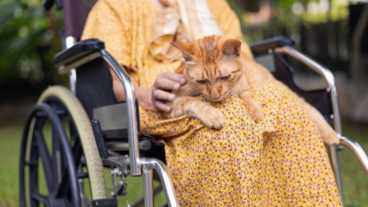 La bonne idee d'accepter les animaux en maison de retraite