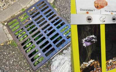 Mégot de cigarette : le vrai (et gros) coût d’un petit geste toxique