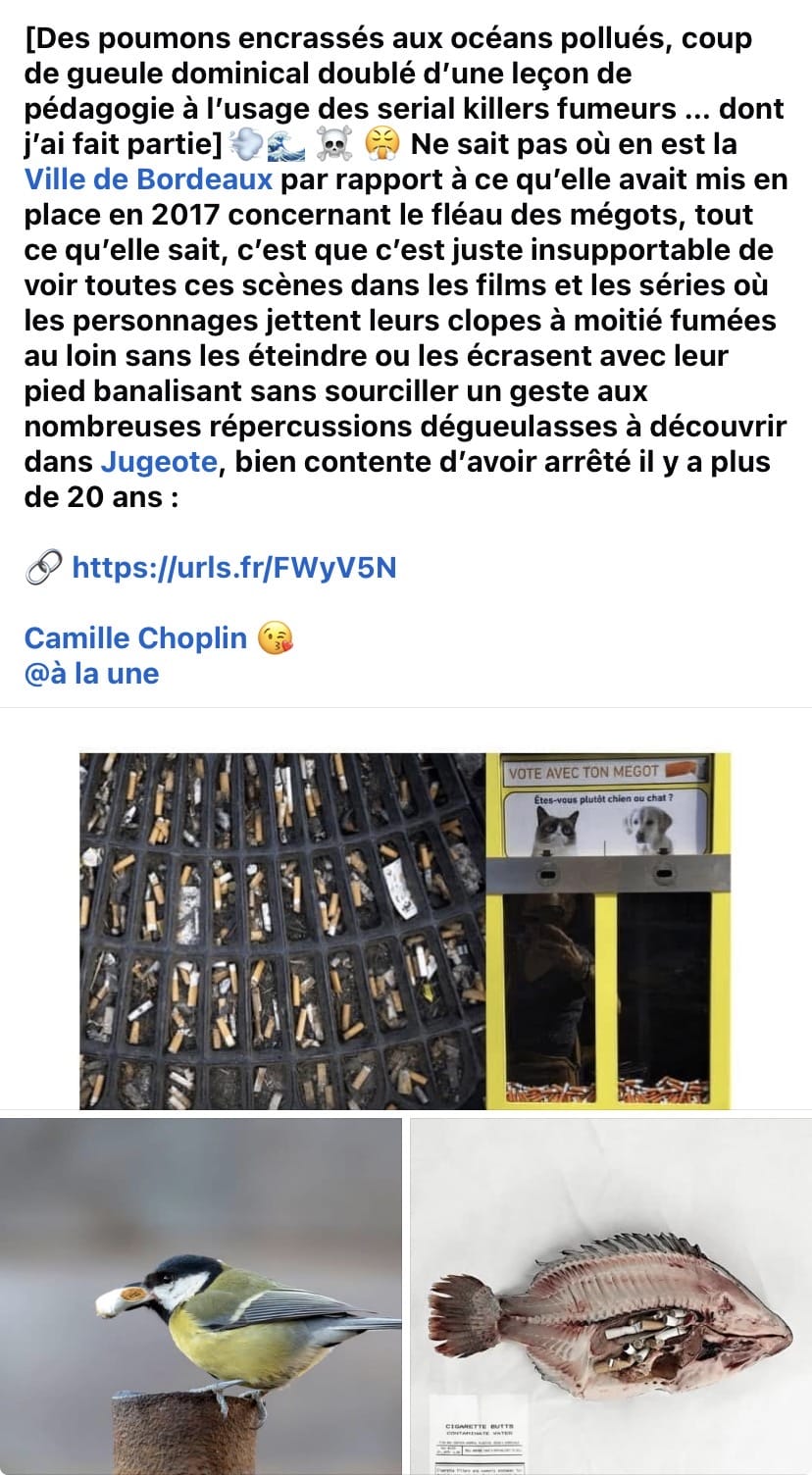 Haro sur les mégots à Bordeaux