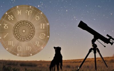 Astrologie : croyance bullshit… ou vraie grille de lecture de soi ?