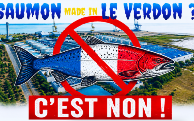 Stop aberration : du saumon made in Le Verdon, c&rsquo;est NON !